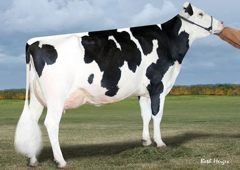 Regan-ALH Blvr Divina-ET VG-87