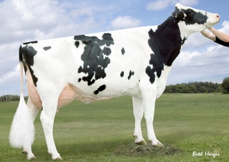 Regancrest Brasilia EX-92