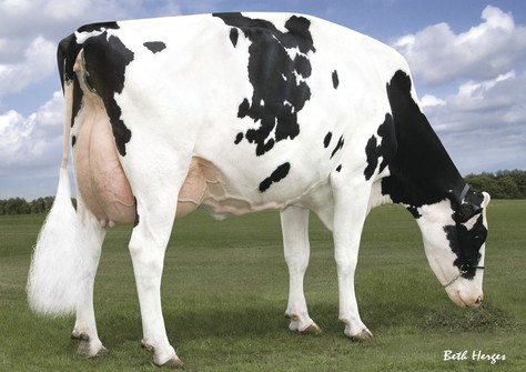 Regancrest Brasilia EX-92