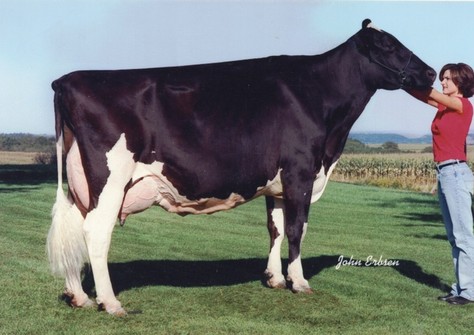 Regancrest Juror Brina EX-92