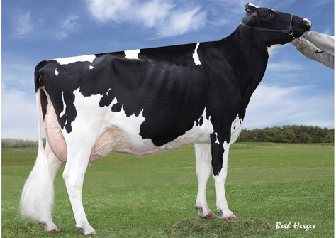 Regancrest S Chassity EX-92