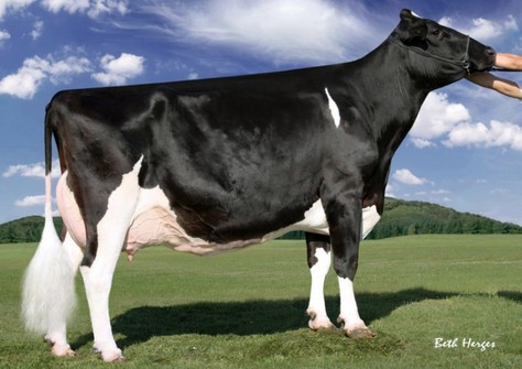 Regancrest-PR Barbie EX-92 Regancrest-PR Barbie EX-92