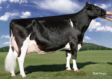 Regancrest-PR Barbie EX-92