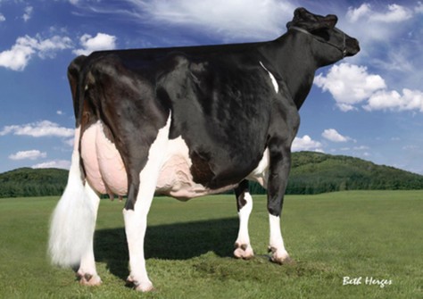 Regancrest-PR Barbie EX-92