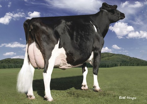 Regancrest-PR Barbie EX-92