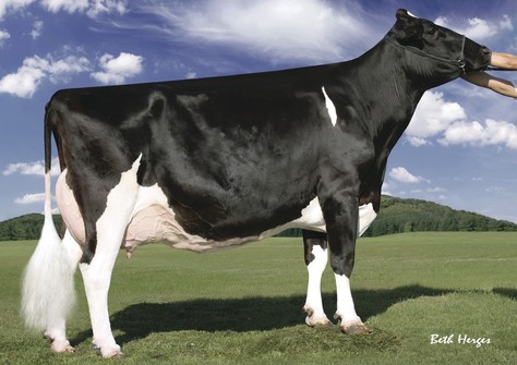 Regancrest-PR Barbie EX-92