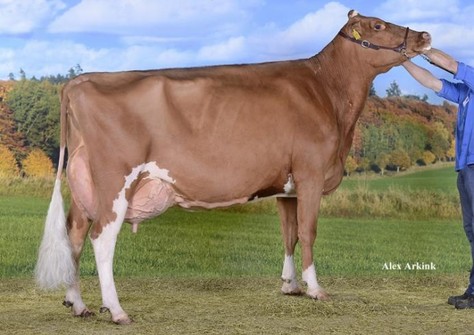 Reiertjeshoeve Geertje 407 EX-91