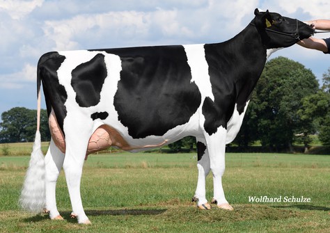 Renate VG-85