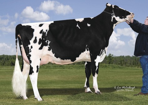 R-E-W Daz Bewitched VG-88