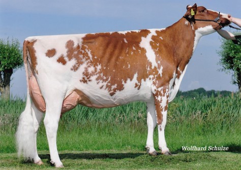 RH Maibrit EX-92