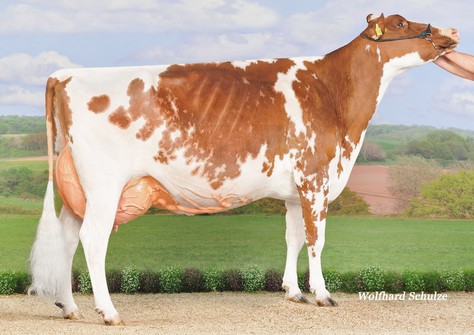 RH Maibrit EX-92