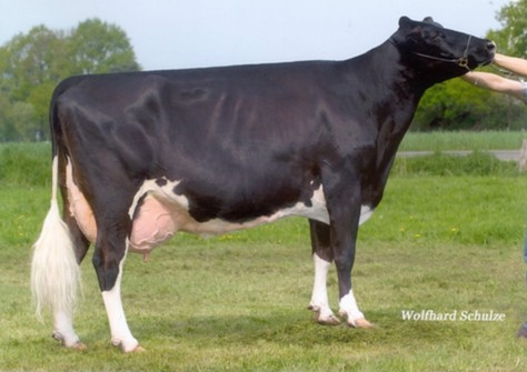 RH Meggilee EX-91