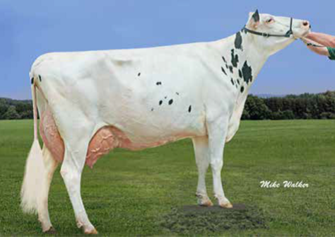 Richmond-FD Barbie EX-92