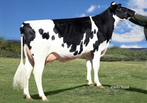 Richmond-FD Liesl EX-90