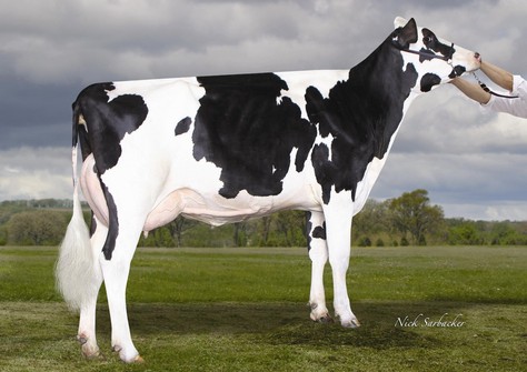 Richmond-FD S Barbara EX-90