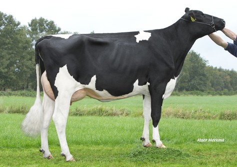 Rietje VG-87