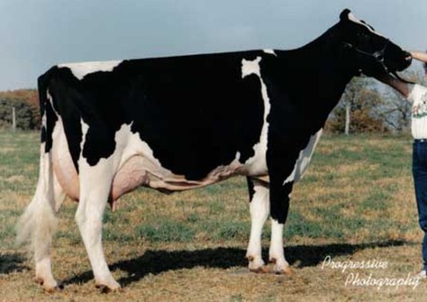 Robthom Ivory Mark EX-94