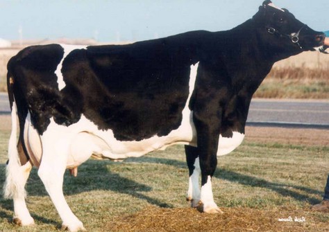 Rocky-Vu Mars Esthe Exctasy VG-87