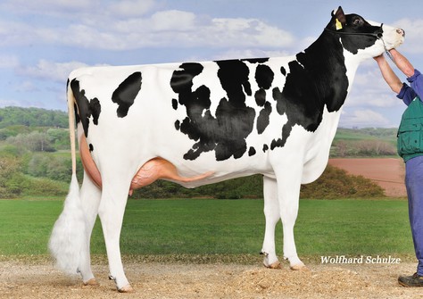 RR Elisa Marie VG-86