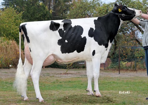 KHE Isolde VG-87