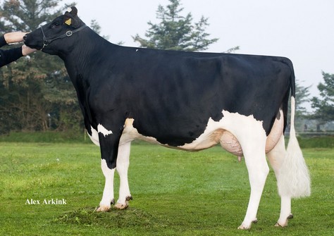 RUW Study 122 VG-87