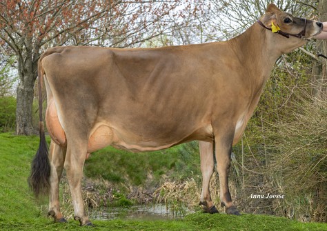 RZN Chrome Velvet VG-87