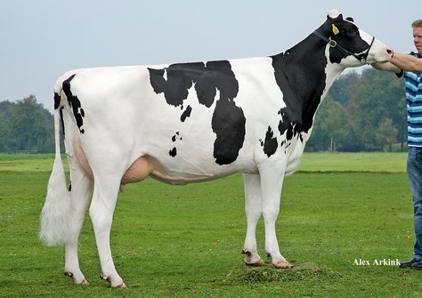 Sanderij Massia Sneeuwwitje RDC VG-87