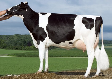 Sandy-Valley Plane Sapphire VG-87