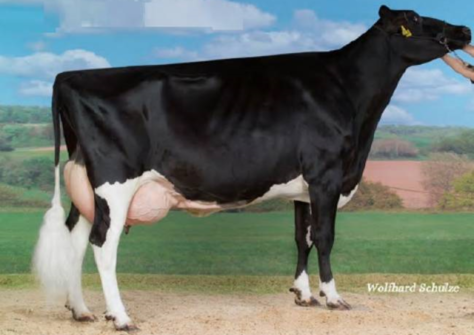 Saturday EX-90 Saturday EX-90