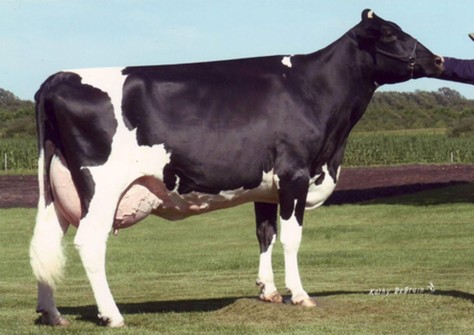 Scientific Beauty Rae EX-90