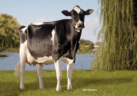 Scientific Debutante Rae EX-92 Scientific Debutante Rae EX-92