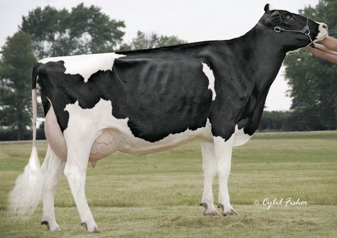 Scientific Debutante Rae EX-92