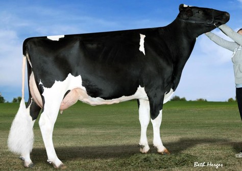 Scientific Deluxe Rae EX-91