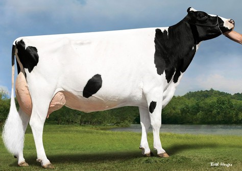 Seagull-Bay Miss America EX-91