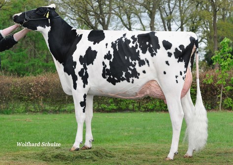 Seeger's Indiana VG-89