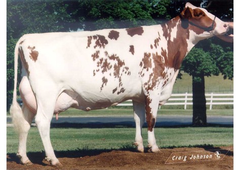 S-F-L Enhancer Scarlette-Red VG-89