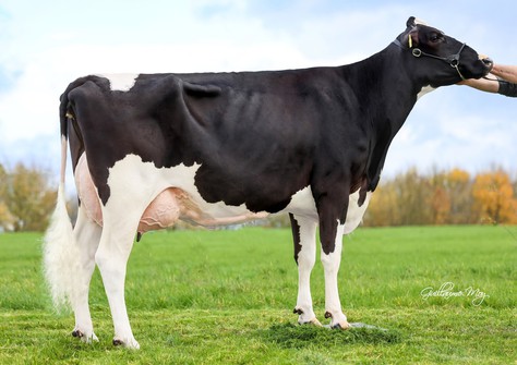 SHS England  VG-87