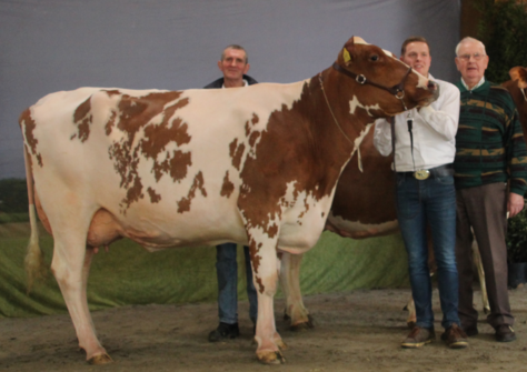 Holbra Sien 2 VG-89