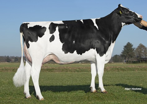 Skalsumer Pietje 1090 VG-87