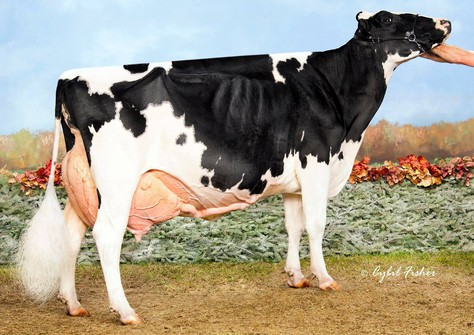 Smith-Crest-TW Sh Virgie EX-95