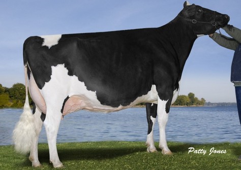 Smithden Goldwyn Alexandra EX-94