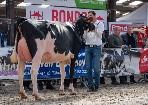 SO Forma Showking VG-89