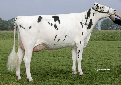 Southland Dellia 152 VG-87