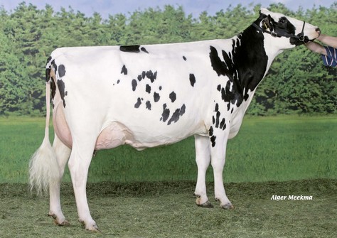 Southland Dellia 130 VG-87