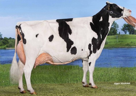 Spirit Precilla, NRM 2014 EX-93