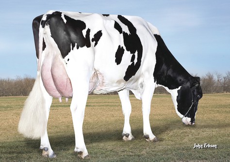 S-S-I Shamrock Mesa 7388 VG-87