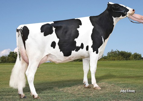 S-S-I Uno Mara 8395 VG-86