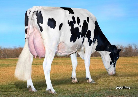 S-S-I-BOOKEM-MODESTO VG-87