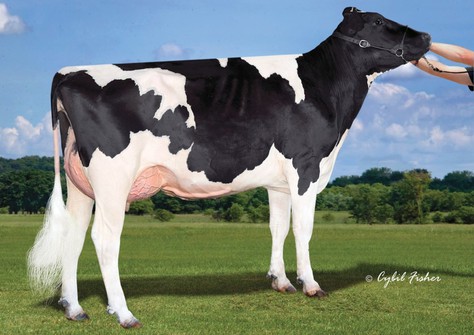 S-S-I Supersire Miri 8679 VG-89, EX-MS VG-87