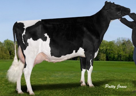 Stantons Lucky Cameo EX-90
